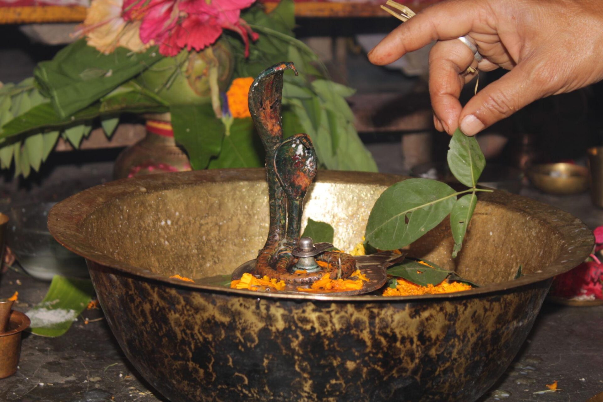 आज महाशिवरात्रीचा उत्साह! ‘हर हर महादेव’च्या गजराने दुमदुमली शिवालये; जाणून घ्या आजच्या पूजेचे महत्त्व